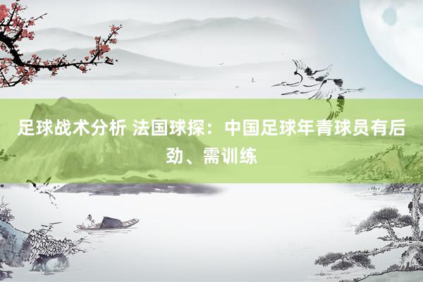 足球战术分析 法国球探：中国足球年青球员有后劲、需训练