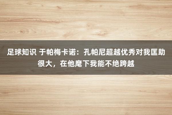 足球知识 于帕梅卡诺：孔帕尼超越优秀对我匡助很大，在他麾下我能不绝跨越