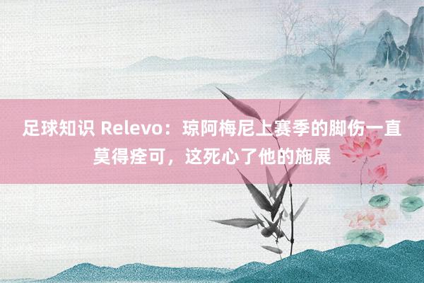 足球知识 Relevo：琼阿梅尼上赛季的脚伤一直莫得痊可，这死心了他的施展