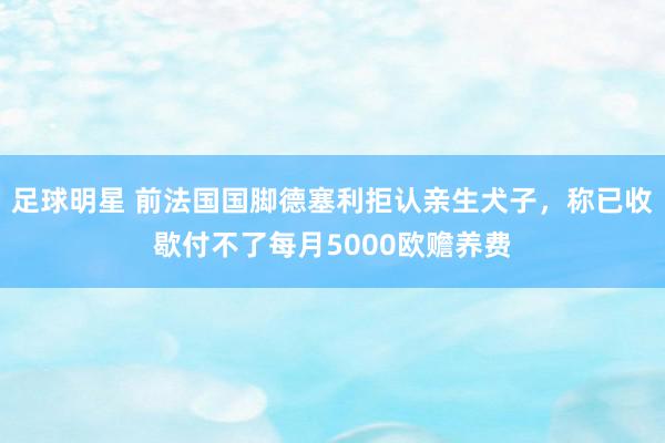 足球明星 前法国国脚德塞利拒认亲生犬子，称已收歇付不了每月5000欧赡养费