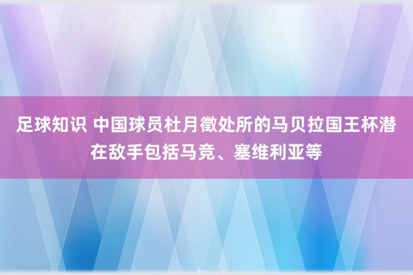 足球知识 中国球员杜月徵处所的马贝拉国王杯潜在敌手包括马竞、塞维利亚等