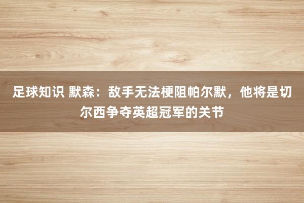 足球知识 默森：敌手无法梗阻帕尔默，他将是切尔西争夺英超冠军的关节