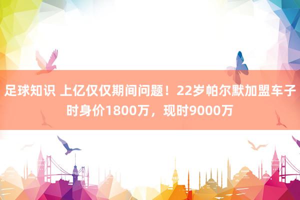 足球知识 上亿仅仅期间问题！22岁帕尔默加盟车子时身价1800万，现时9000万