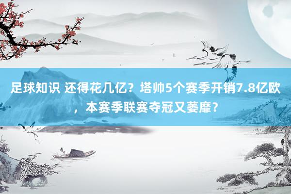 足球知识 还得花几亿？塔帅5个赛季开销7.8亿欧，本赛季联赛夺冠又萎靡？