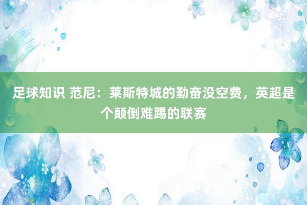 足球知识 范尼：莱斯特城的勤奋没空费，英超是个颠倒难踢的联赛