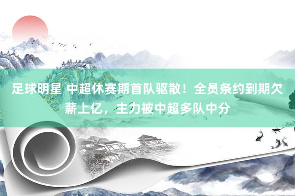 足球明星 中超休赛期首队驱散！全员条约到期欠薪上亿，主力被中超多队中分