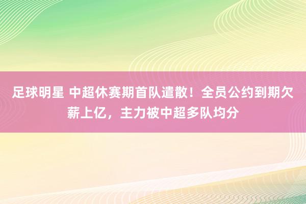 足球明星 中超休赛期首队遣散！全员公约到期欠薪上亿，主力被中超多队均分